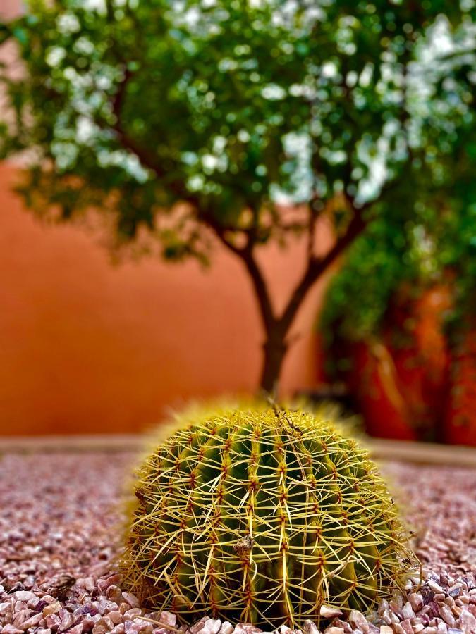 Villa Kalthoum Marrakesz Zewnętrze zdjęcie